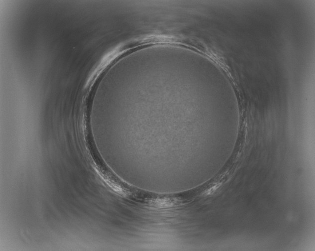 X0000079330103200611171159