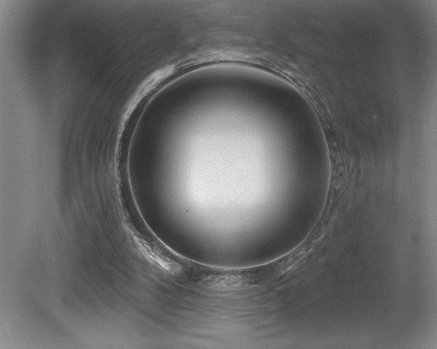 X0000079330104200611171159