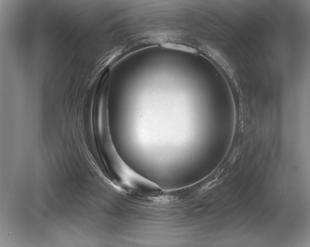 X0000079330105200611171159