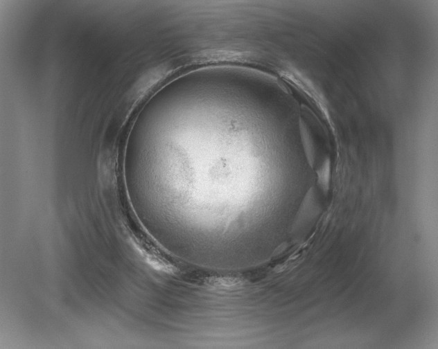 X0000079330107200611171159