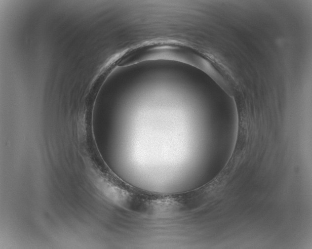 X0000079330112200611171159
