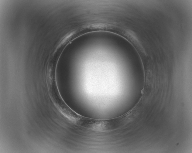 X0000079330116200611171159