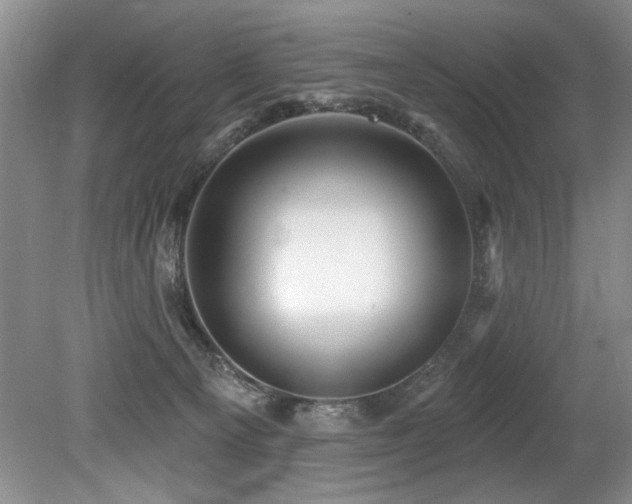 X0000079330129200611171159