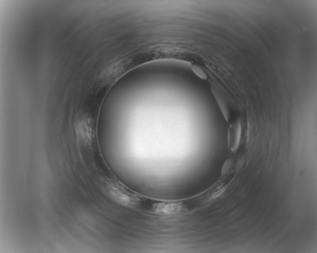 X0000079330135200611171159