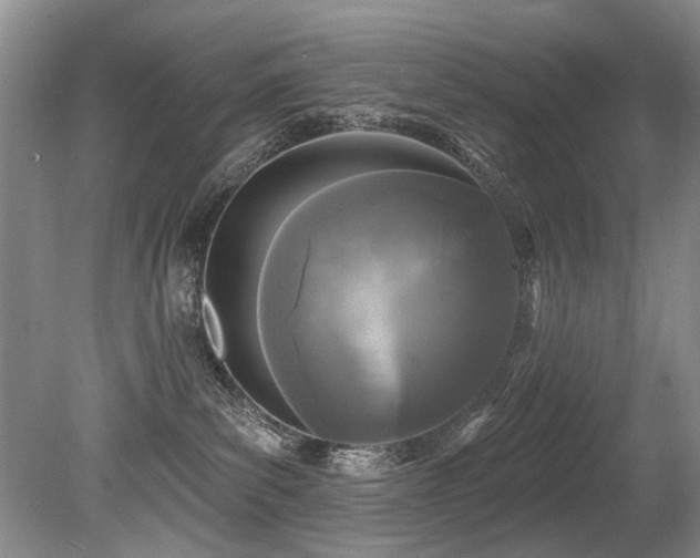 X0000079330139200611171159