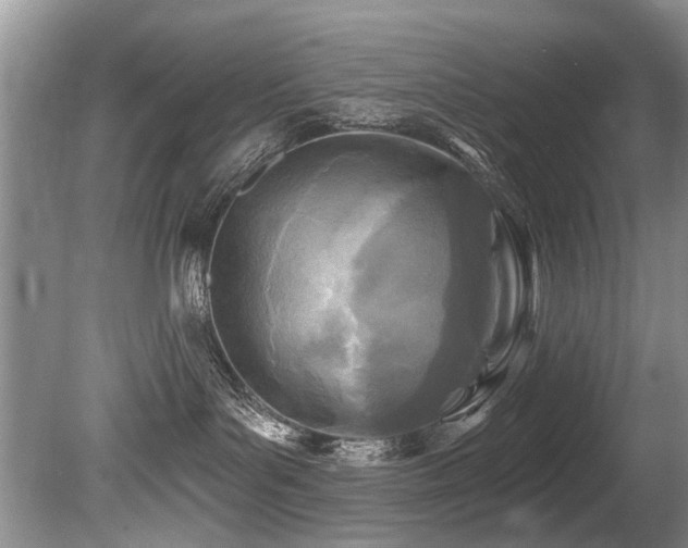 X0000079330143200611171159