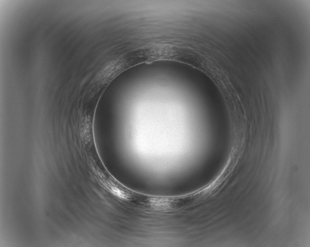 X0000079330144200611171159