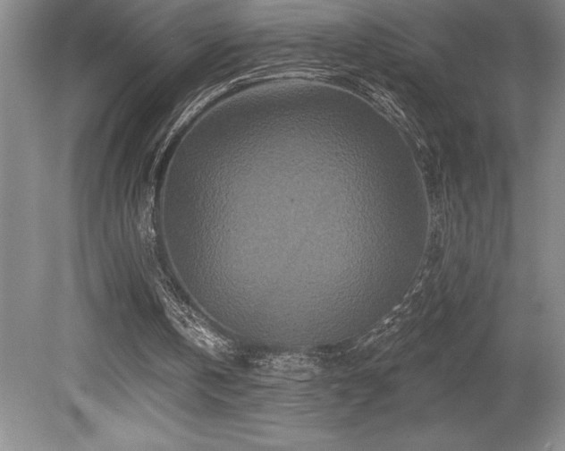 X0000079330146200611171158