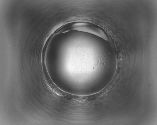 X0000079330148200611171158
