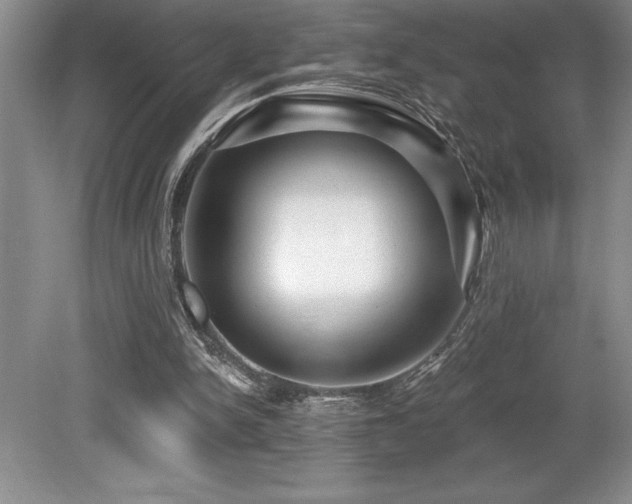 X0000079330150200611171158