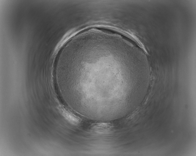 X0000079330151200611171158