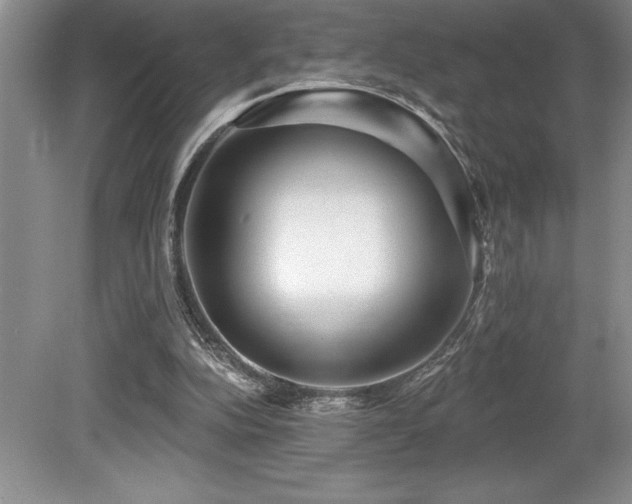 X0000079330152200611171158