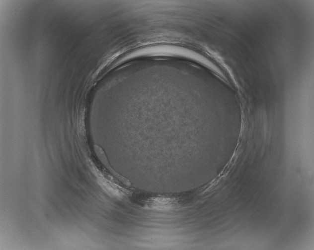 X0000079330154200611171158