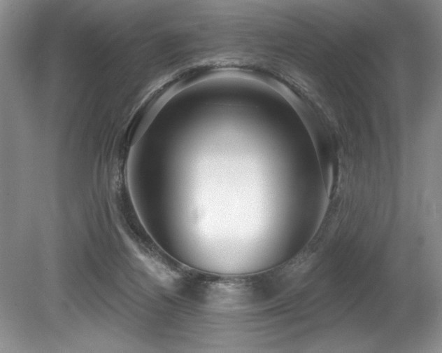 X0000079330164200611171158