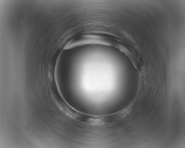 X0000079330170200611171158