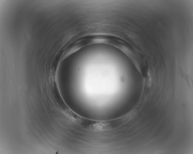 X0000079330172200611171158