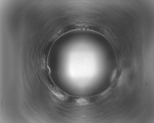 X0000079330183200611171158