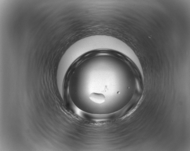 X0000079330186200611171158