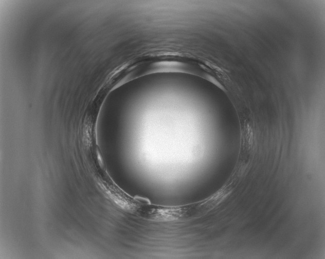 X0000079330188200611171158