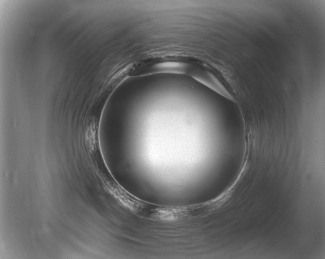 X0000079330190200611171158