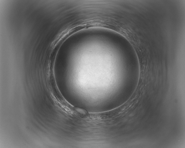 X0000079330194200611171158