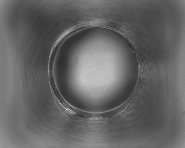 X0000079330196200611171158