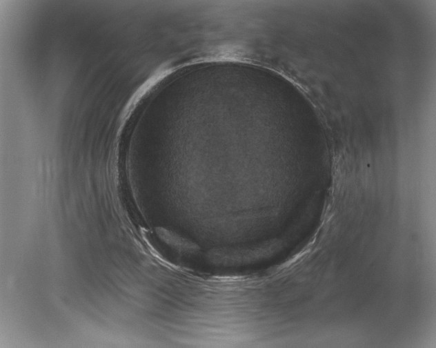 X0000079330200200611171158