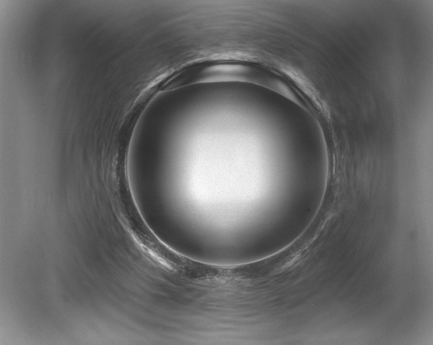 X0000079330201200611171158