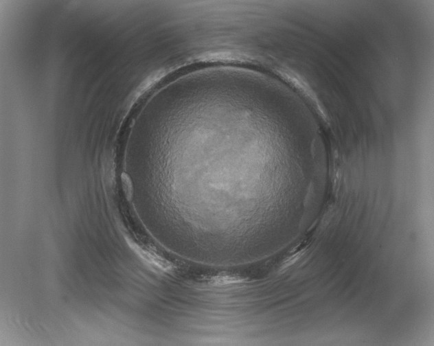 X0000079330204200611171158