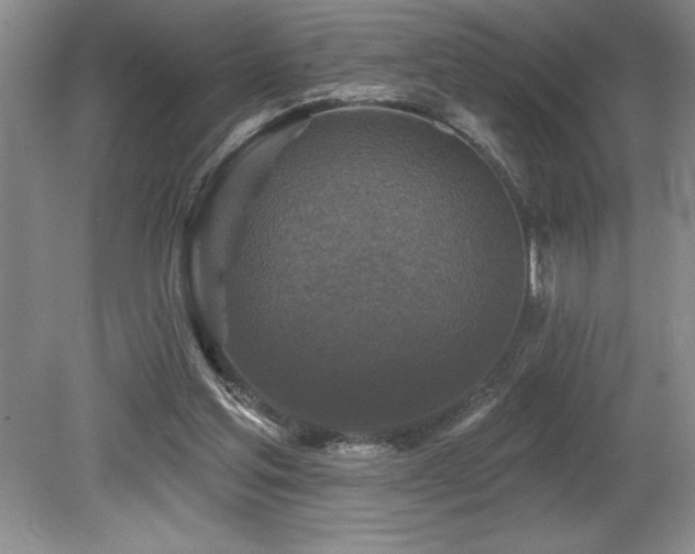 X0000079330205200611171157