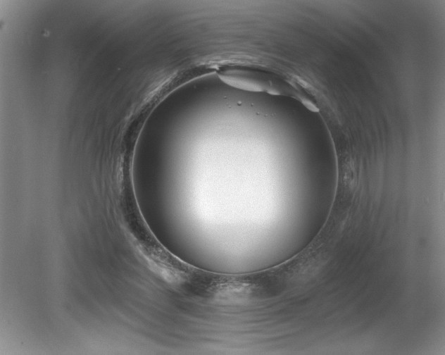 X0000079330206200611171157