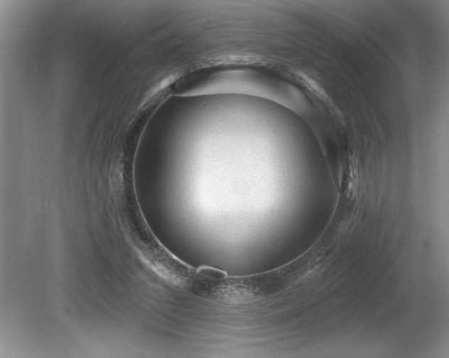 X0000079330207200611171157