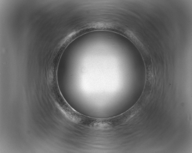 X0000079330208200611171157