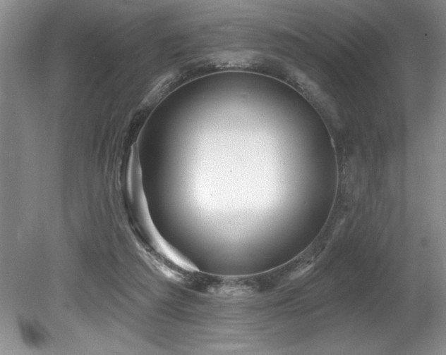 X0000079330209200611171157