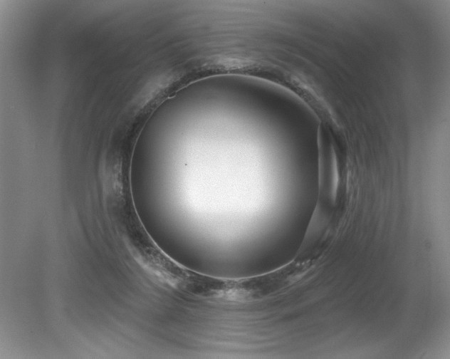 X0000079330212200611171157