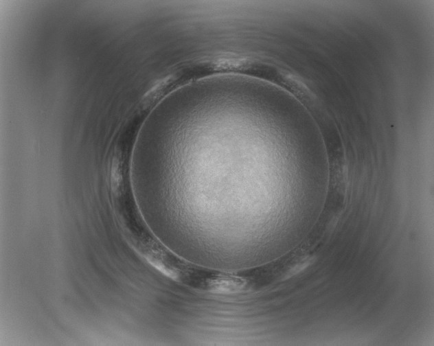 X0000079330215200611171157