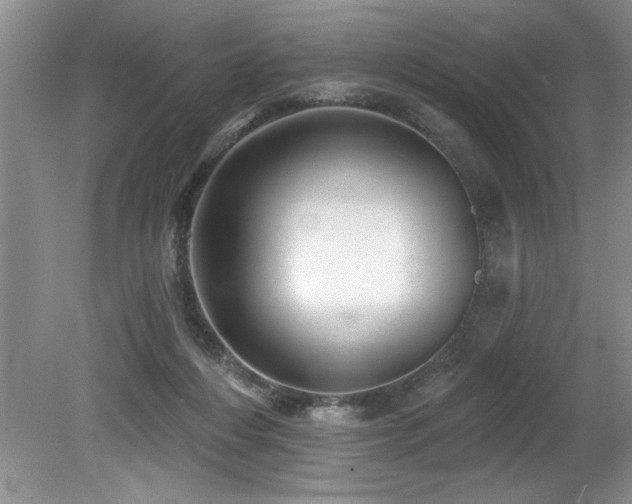 X0000079330216200611171157