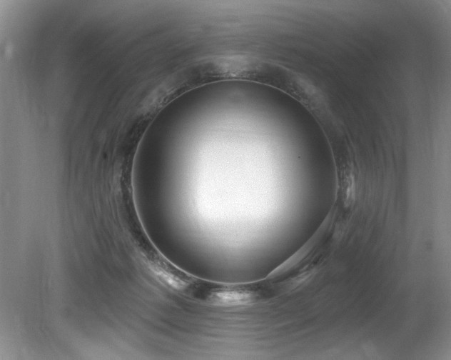 X0000079330221200611171157