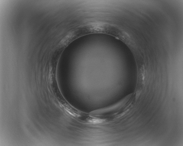 X0000079330223200611171157