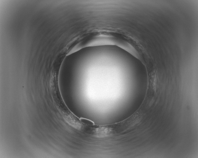 X0000079330225200611171157