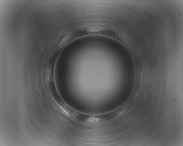 X0000079330227200611171157