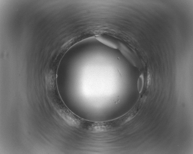 X0000079330228200611171157