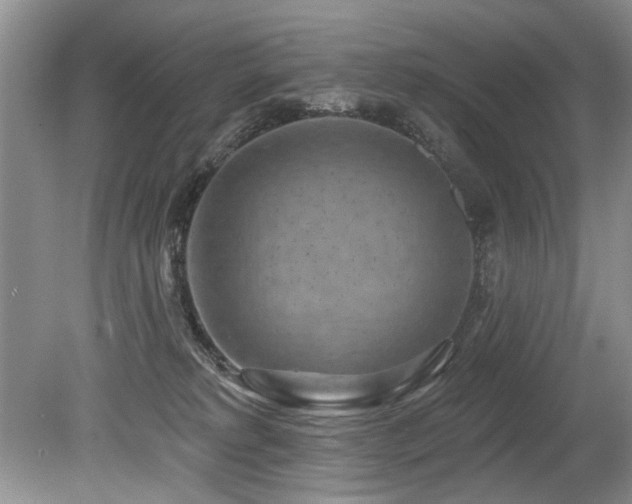 X0000079330229200611171157