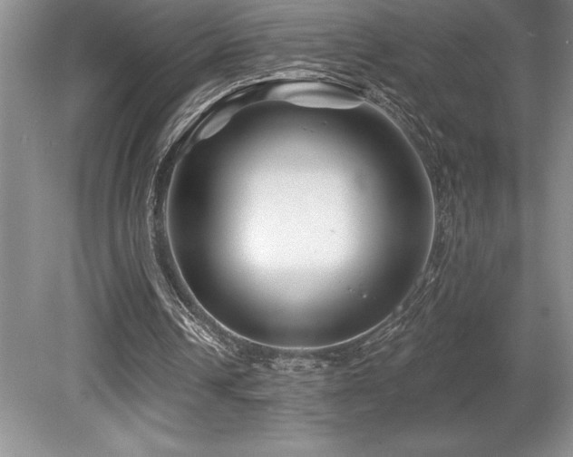 X0000079330242200611171156