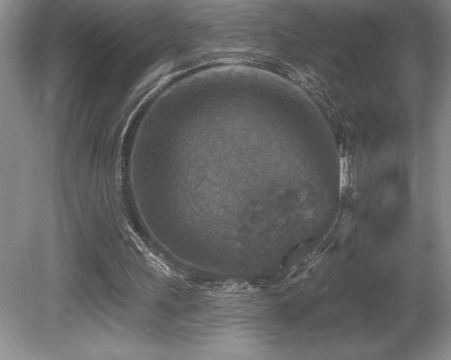 X0000079330243200611171156