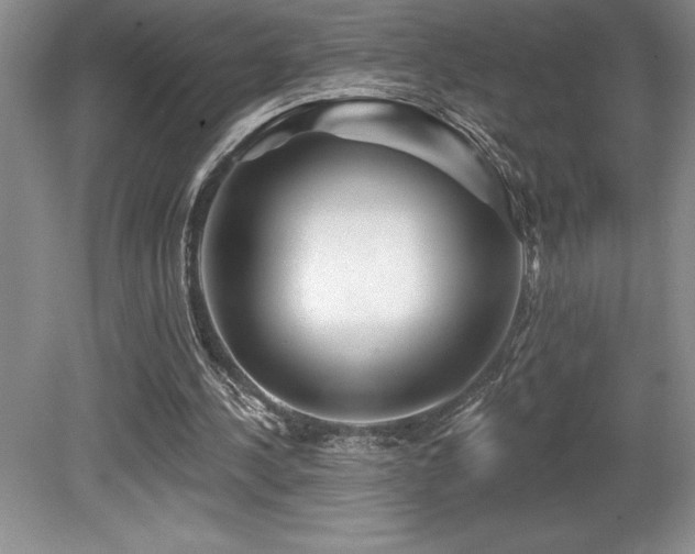 X0000079330244200611171156