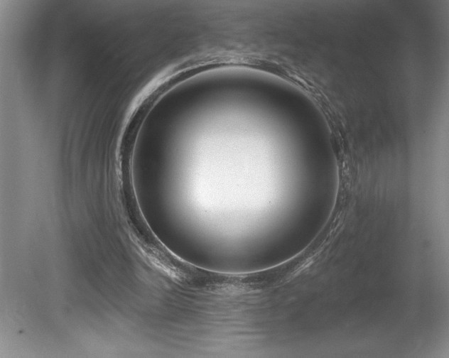 X0000079330246200611171156