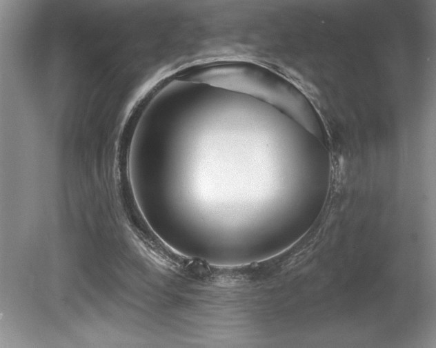 X0000079330248200611171156