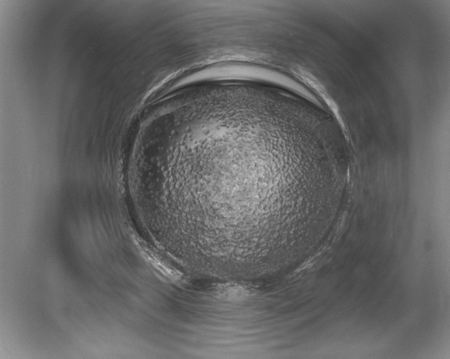 X0000079330249200611171156