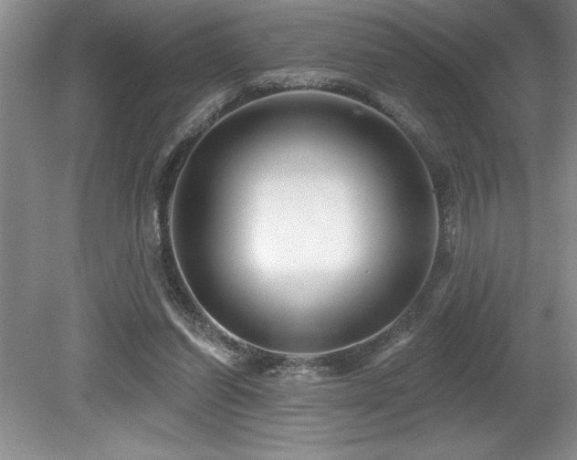 X0000079330254200611171156